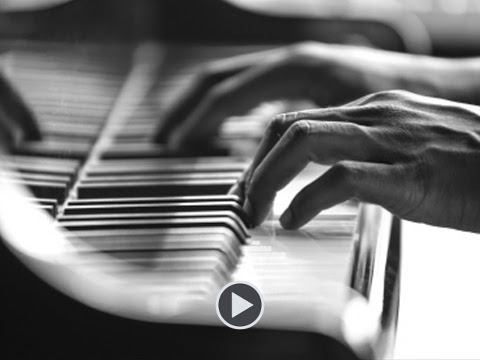 Live Musician